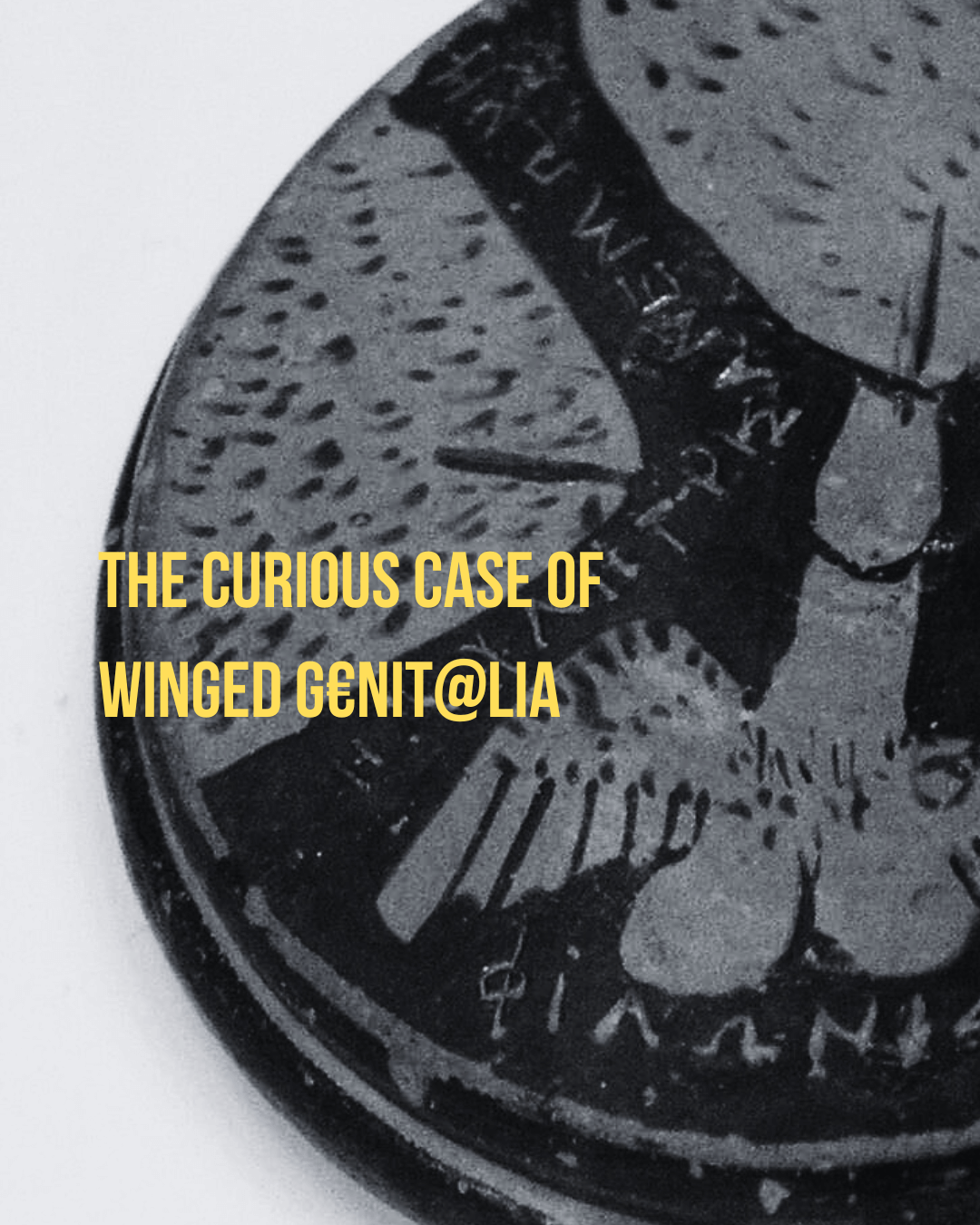 Winged Genitalia